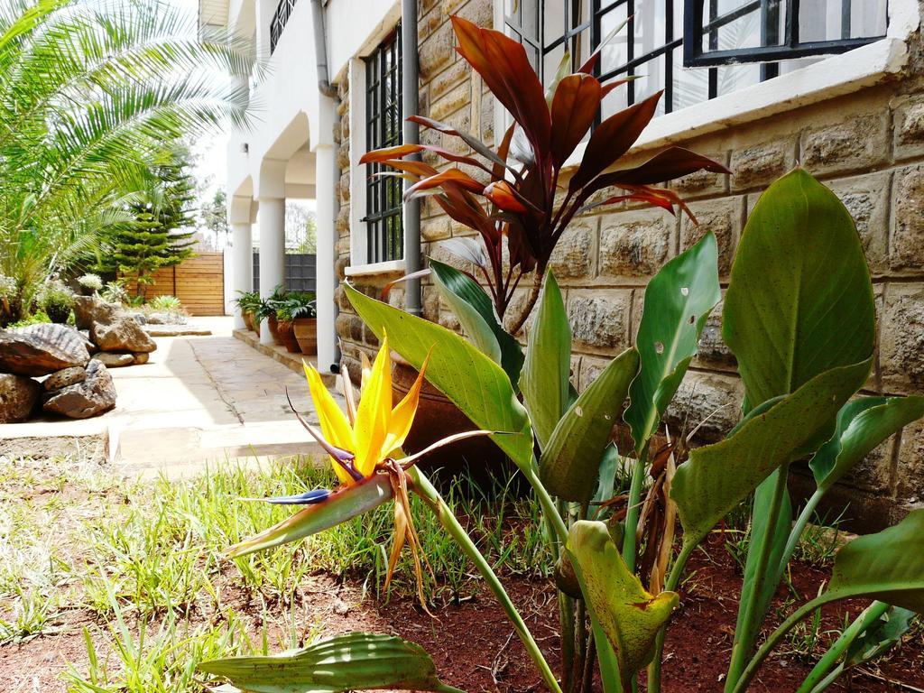 Maison Mitwaba Nairobi Eksteriør billede